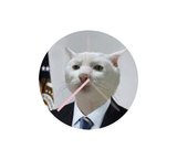 Chief Executive Paw-fficer